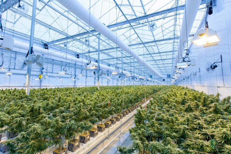 Home Crop Care home-crop-care