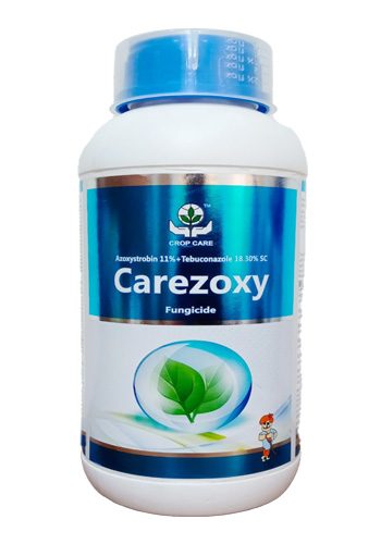CAREZOXY (AZOXYSTROBIN 11%+TEBUCONAZOLE 18